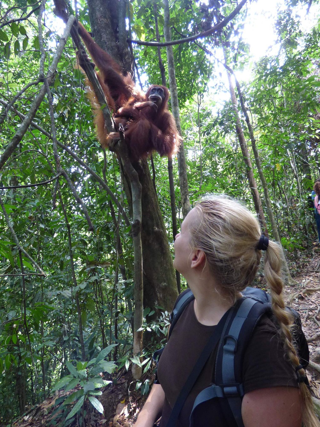 Do džungle za orangutany - inspirující přednáška v Planetě Hlinsko