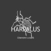 HARPALUS, s.r.o. - ÚČETNICTVÍ a DANĚ