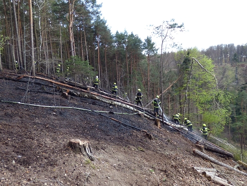 Hasiči z Hlinska zasahovali u rozsáhlého požáru lesa, plameny se šířily v nepřístupném svahu