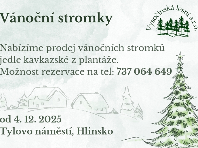 Prodej vánočních stromků začíná v Hlinsku 4. prosince na Tylově náměstí