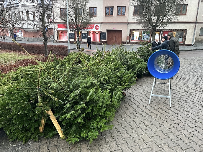 Prodej vánočních stromků na Tylově náměstí již jen od 8. do 12. prosince
