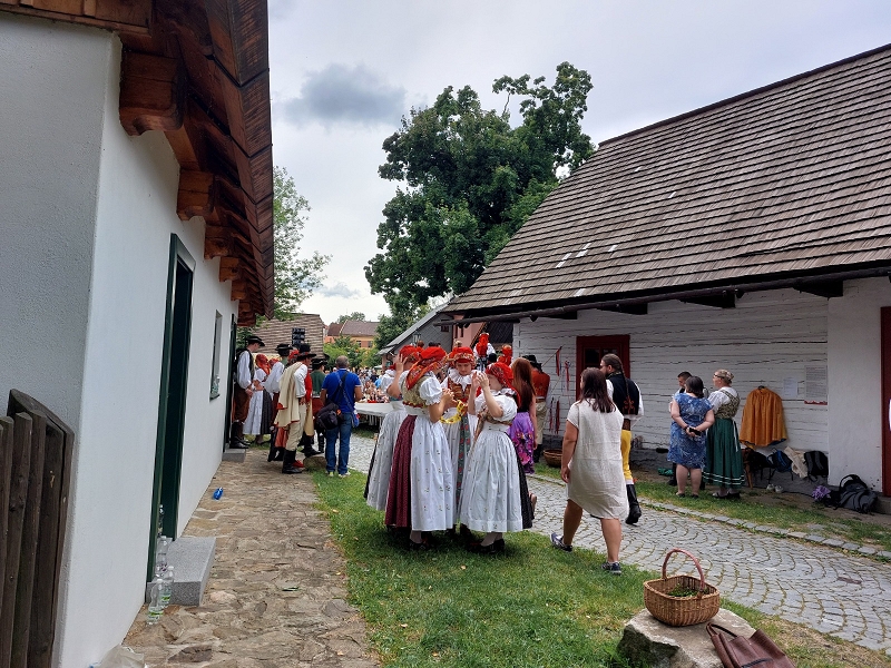 Image 15
