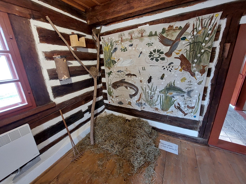 Image 39