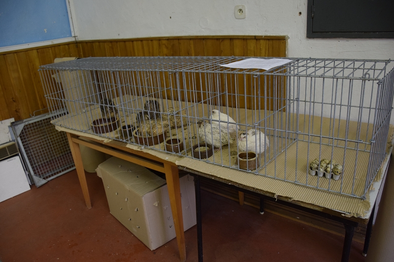 Image 38