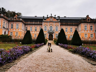 FALCO KALENDÁŘ 2023