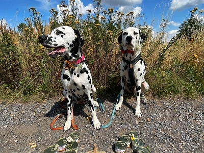 Konzervy TIM a LÍZA 120g ZDARMA!