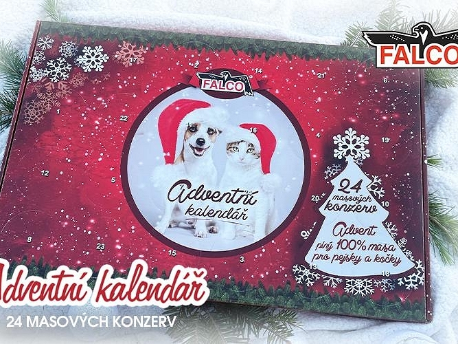 V PRODEJI OD DNEŠNÍHO DNE!