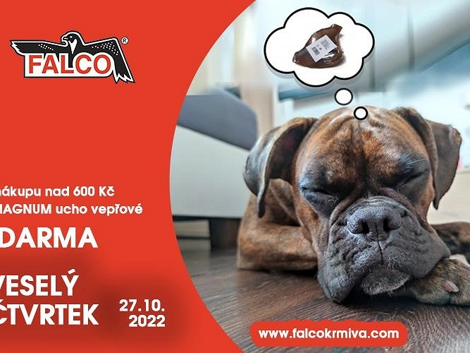 FALCO hlásí VESELÝ ČTVRTEK!