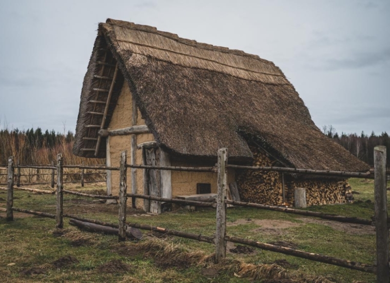 Image 11