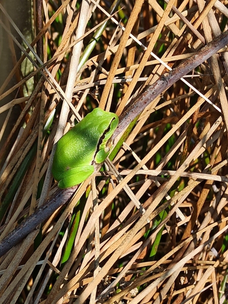 Image 10