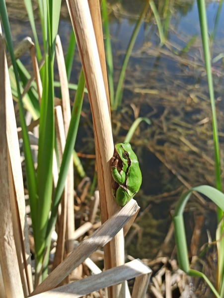 Image 6