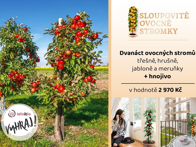 VYHRAJ dvanáct sloupovitých ovocných stromků v hodnotě téměř 3 000 Kč!
