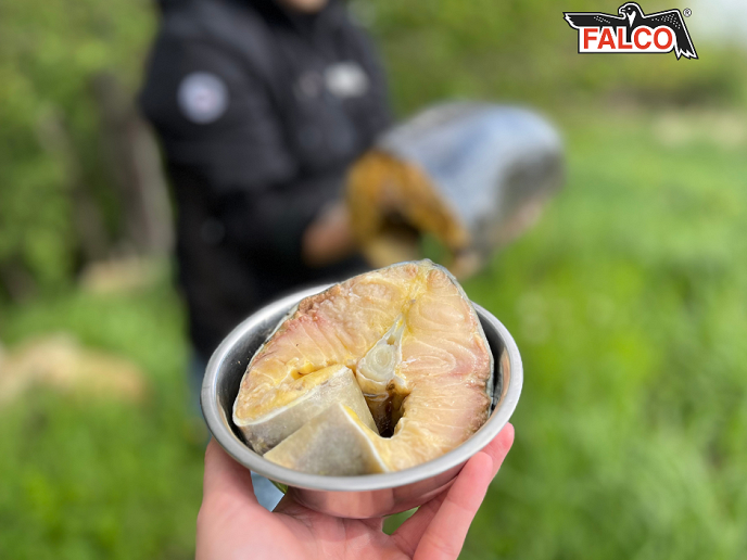 Další novinka od SOKOL FALCO v prodeji