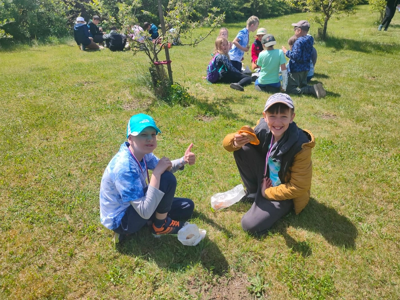 Image 13