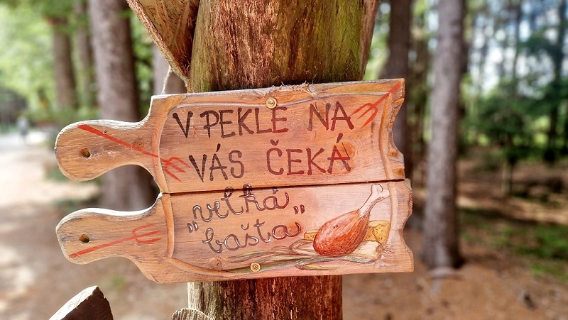 Image 6