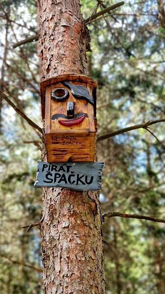 Image 9