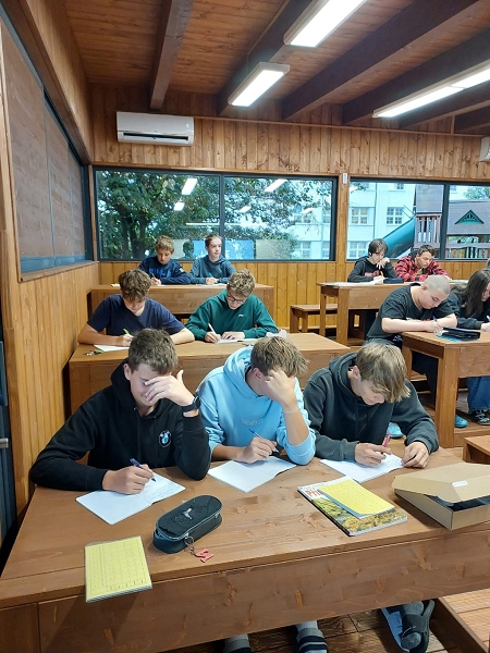 Image 5