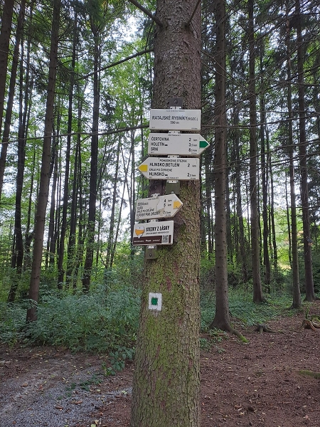 Image 8