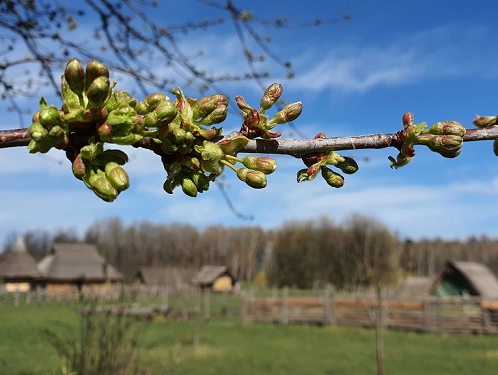 Země Keltů otevírá už tento víkend!