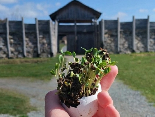 Již tento víkend přivítá Země Keltů jaro!