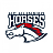 HC Horses Hlinsko