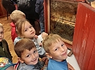Přípravná třída z Ležákovky objevovala svět včel