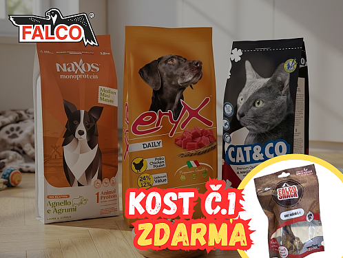 DÁREK ZDARMA PRO VÁS!