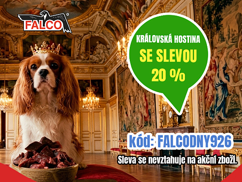 FALCO DNY AŽ DO NEDĚLE!