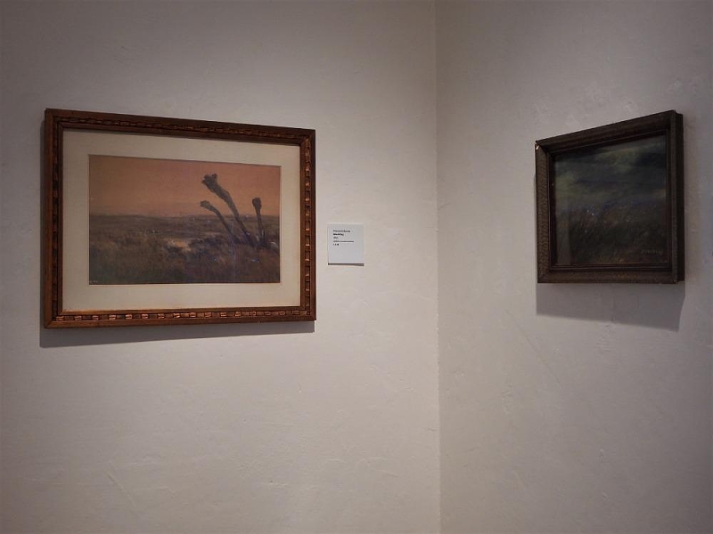 Fotografie 17