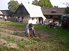 Bramborová sobota zrušena