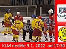 Hokej - v neděli sehrají mistrovské utkání hlinečtí Koně proti opočenským Baronům.