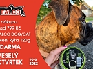 VESELÝ ČTVRTEK je tu!