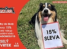Veselý čtvrtek ve FALCU
