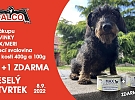 Tahle akce? To je pecka!