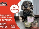 VESELÝ ČTVRTEK!