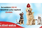 MIKULÁŠSKÁ NADÍLKA