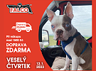 VESELÝ ČTVRTEK!!