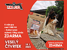 UDĚLEJTE VAŠIM MAZLÍČKŮM JEŠTĚ VESELEJŠÍ ČTVRTEK