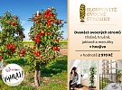 VYHRAJ dvanáct sloupovitých ovocných stromků v hodnotě téměř 3 000 Kč!