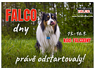 VYUŽIJTE FALCO DNY NAPLNO!