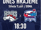 Kam dnes za sportem? Na zimní stadion přijedou " Skláři" k odvetě s místními " Horses".