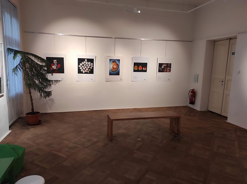 Fotografie 6