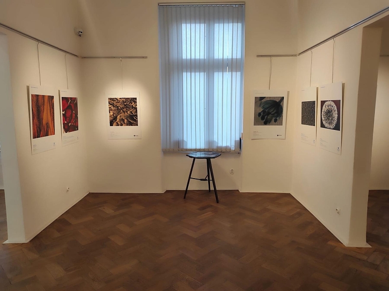 Fotografie 8