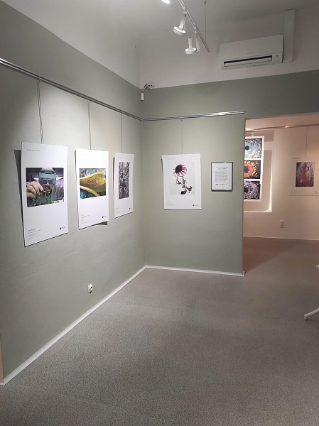 Fotografie 10