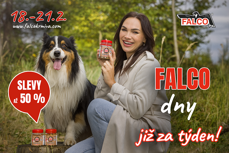 Fotografie 1