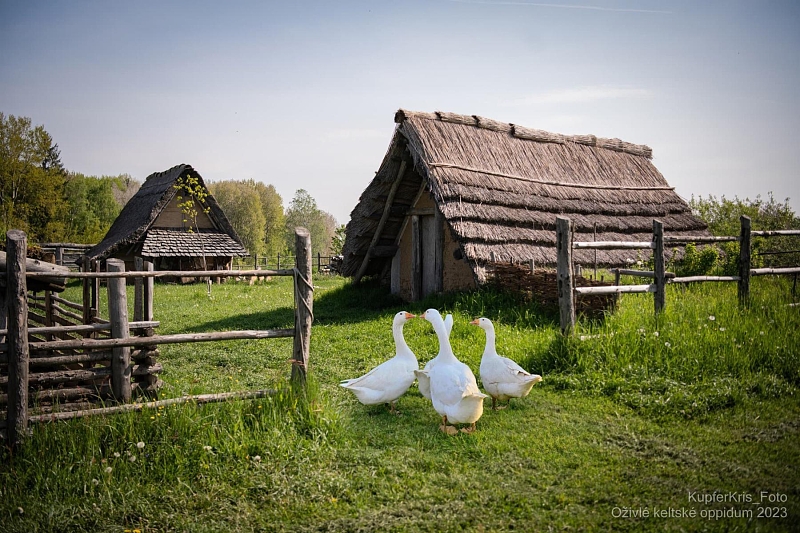 Fotografie 1