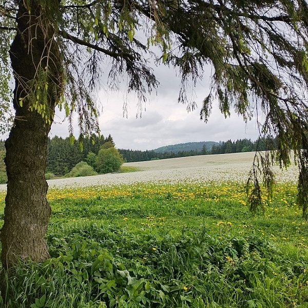 Fotografie 1