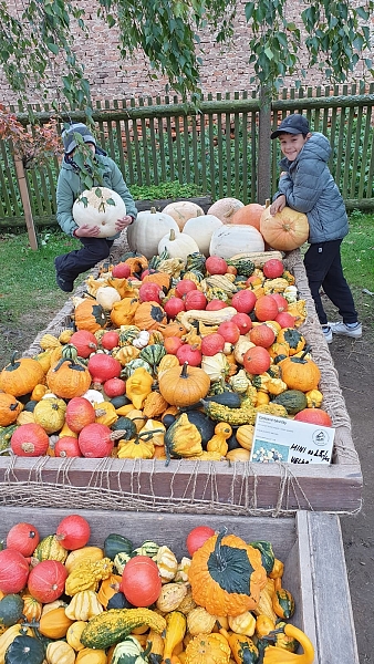 Fotografie 8