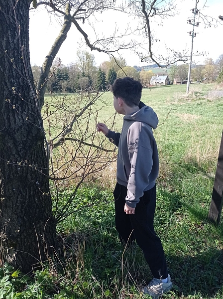 Fotografie 2