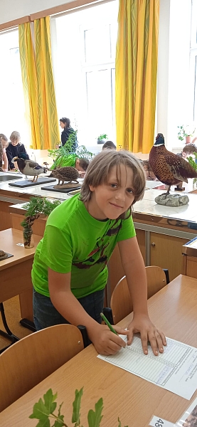 Fotografie 5